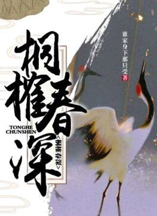 桐榷春深小说
