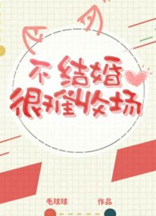 不结婚很难收场小说