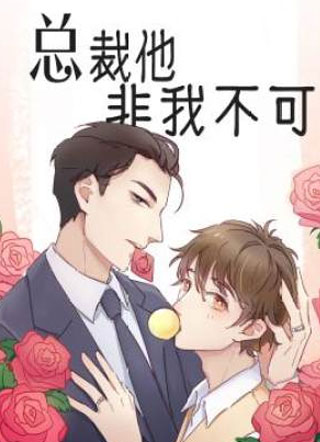 总裁他非我不可谭少琛小说