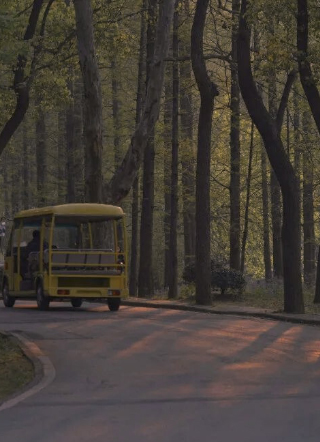 总裁他每天都在跪搓衣板哦小说