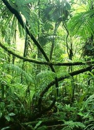 被高冷豹攻饲养了怎么破春光无限小说