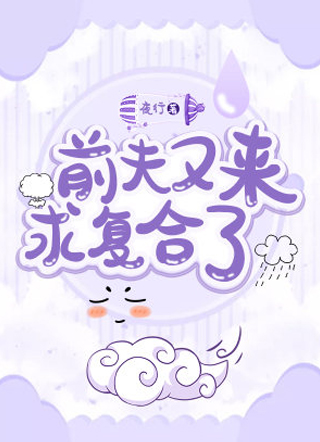 前夫又来求复合了小说