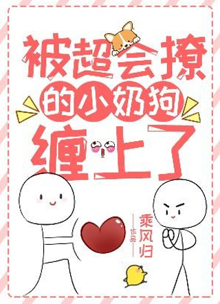 被超会撩的小奶狗缠上了小说