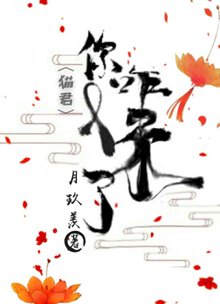 猫君你咋又来了小说