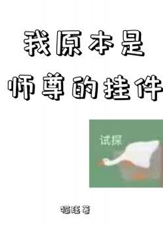 我原本是师尊的挂件小说