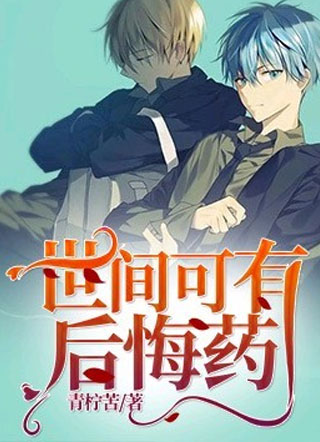 世间可有后悔药小说