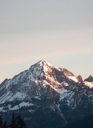 跳海后渣攻小狼狗跪求复合小说