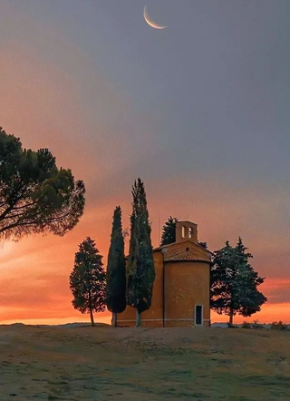 ABO：跳海后渣攻小狼狗跪求复合顾之清小说