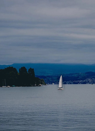 傅先生的虐爱情人小说