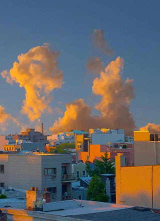 我装gay撩大佬反被泡谢望辉小说