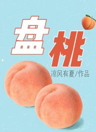 盘桃小说