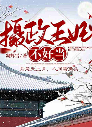 摄政王妃不好当小说