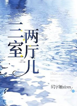 三室两厅儿小说