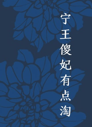 宁王傻妃有点儿皮小说