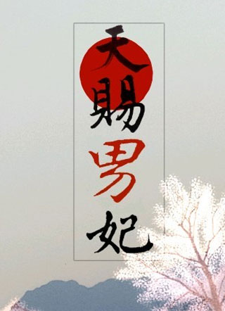 天赐男妃小说