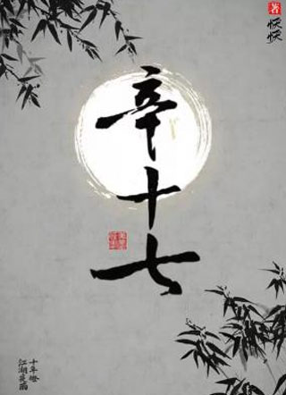 辛十七小说