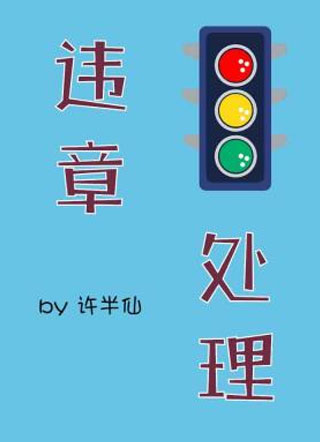 违章处理小说