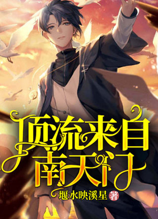 顶流来自南天门小说