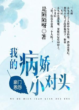 我的病娇小对头小说