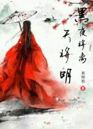黑夜将离天将明小说