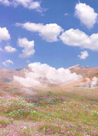 大神请收好您的男票沈林知小说