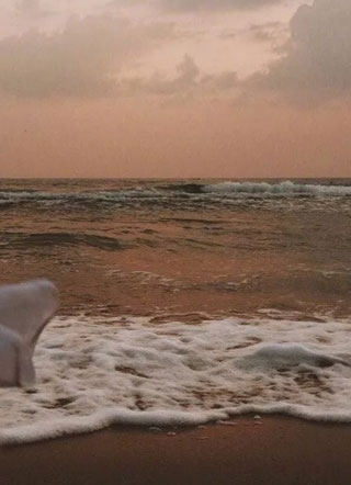 影帝在家撸狐狸小说