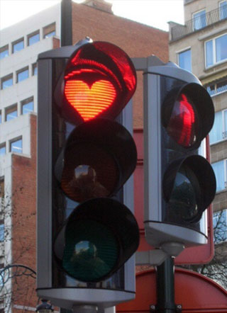 不合格黑粉伍月小说