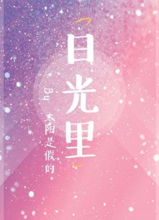 日光里任舟小说