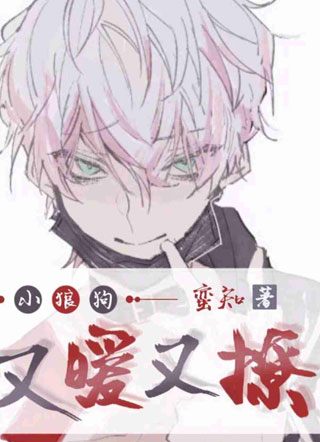 小狼狗又暖又撩霍峥小说