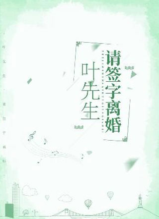 叶先生，请签字离婚小说