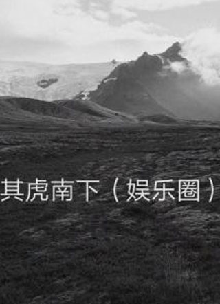 其虎南下（娱乐圈）小说