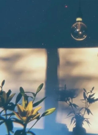 总裁他又在作死by起池小说