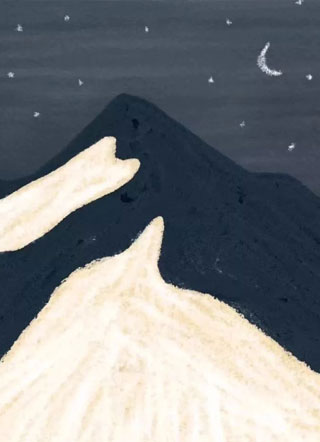 摄政王的男妃(生子)夜欲饶小说