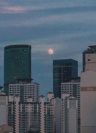 大佬谈个恋爱否？小说