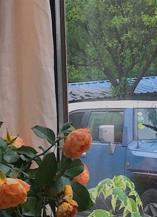 总裁他每天都在跪搓衣板阅读小说