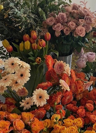 那个校霸腰好软洛言小说