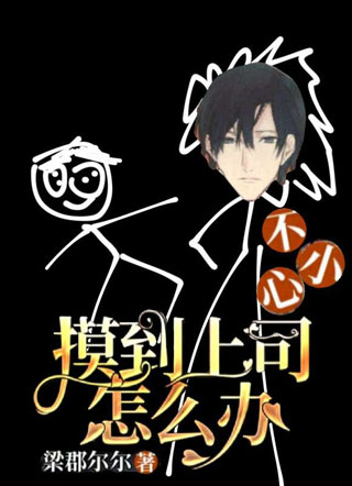 不小心摸到上司怎么办小说