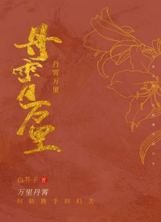 丹霄万里小说
