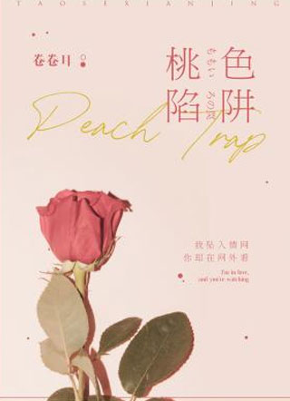 桃色陷阱迟筠小说