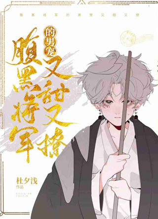 腹黑将军的男宠又甜又撩小说