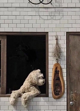 穿成反派怀里小甜心后Pepsi小说