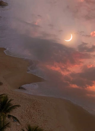 论在精神病院该如何追老攻？小说