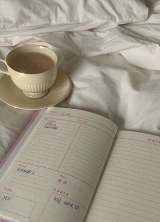 顾爷的小软包苏白小说