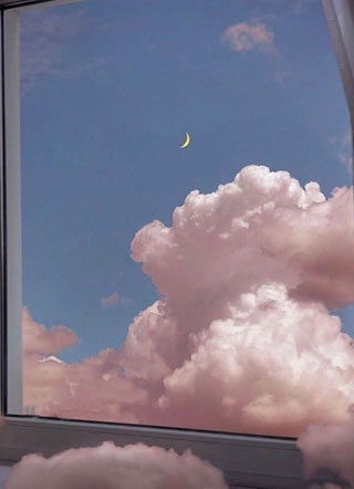 厉总的小祖宗又甜又撩裴桉小说