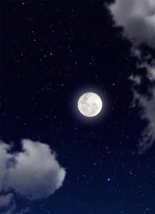 重生之大佬对我太宠溺小说