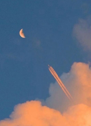 渣攻每天都想让我去死小说