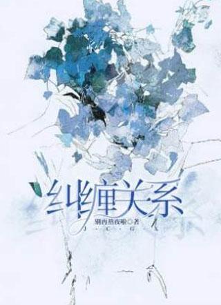 纠缠关系沈清无小说