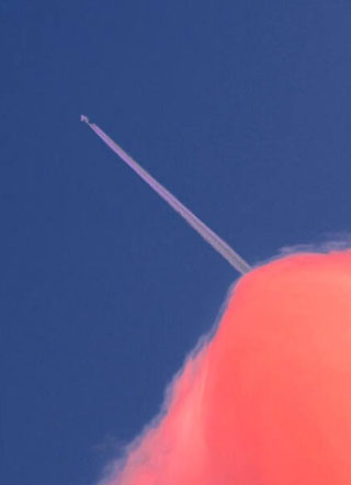 当狂躁遇上爱哭鬼小说