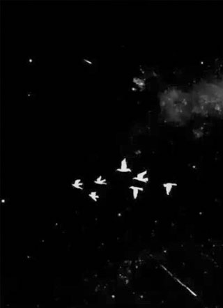 被抱错后我沦为渣男的情人席绍远小说