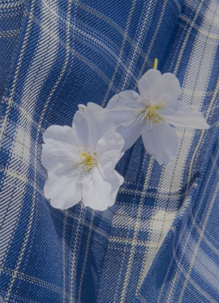 渣攻，其实我是来报恩的小说